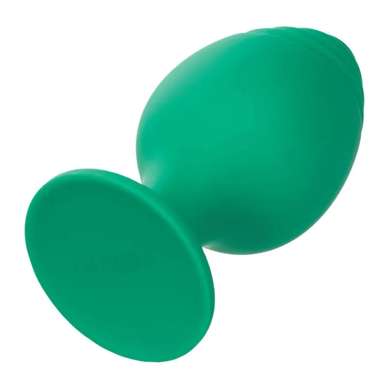 Plug Anal Silicone Base Ventouse
