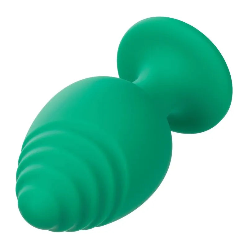 Plug Anal Silicone Base Ventouse
