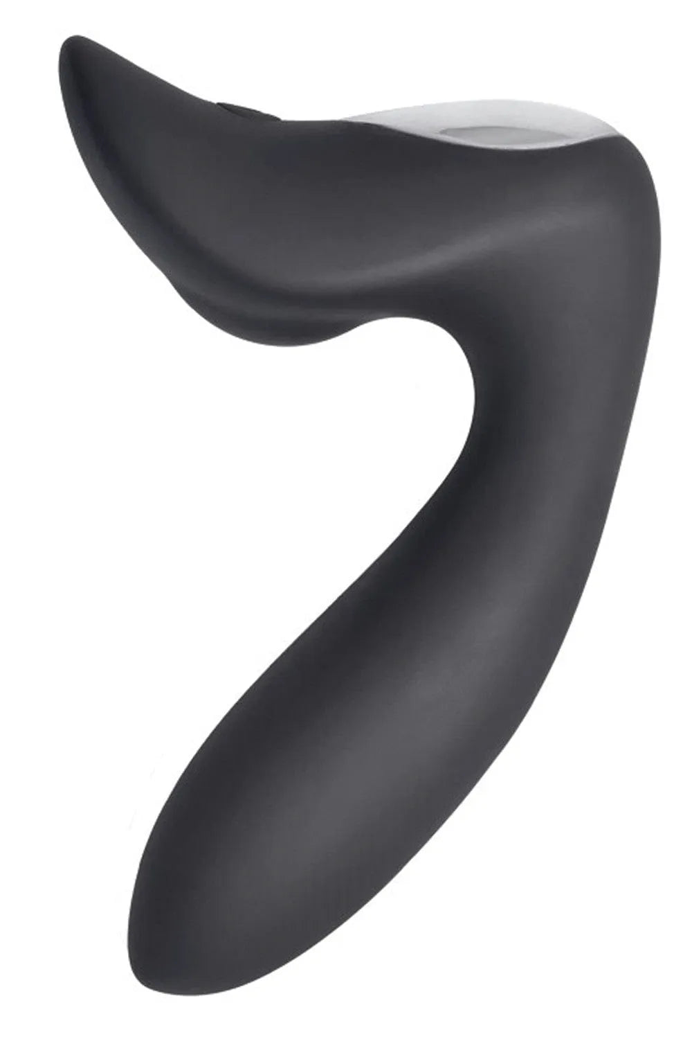 Plug anal vibrant homme