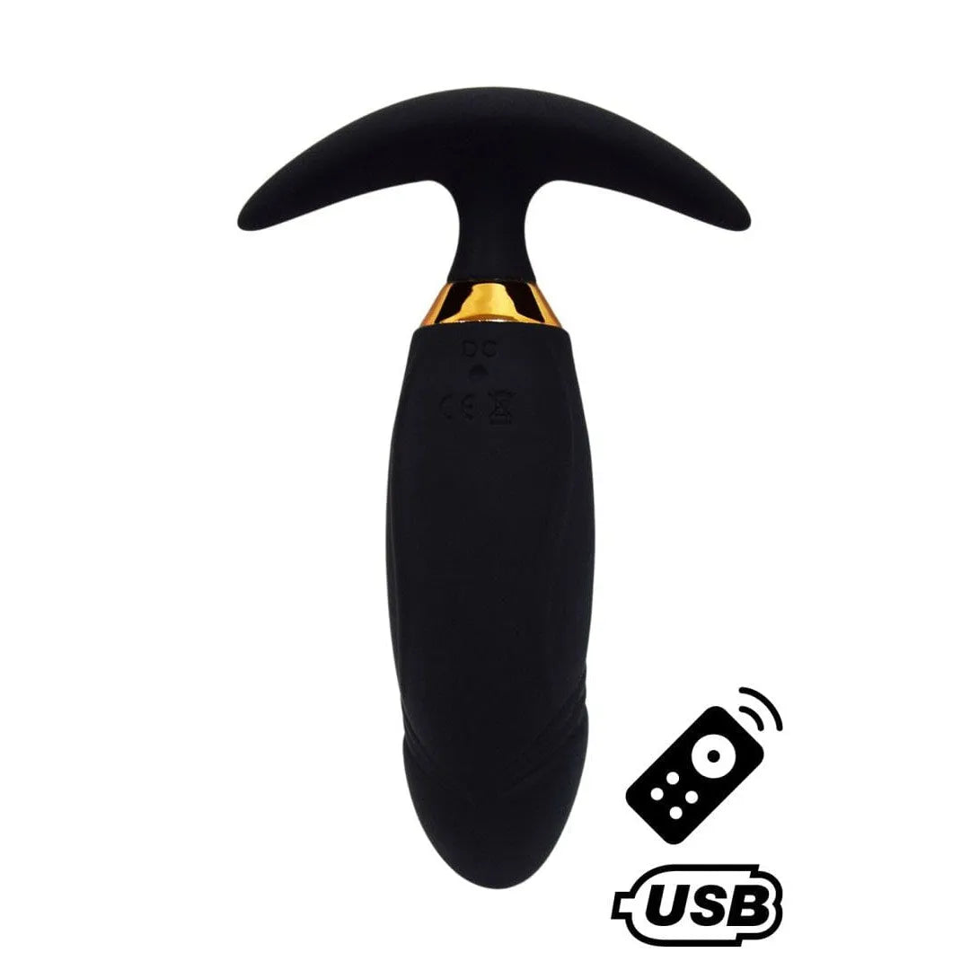 Plug Vibrant Noir Long Mince Télécommandé Puissant