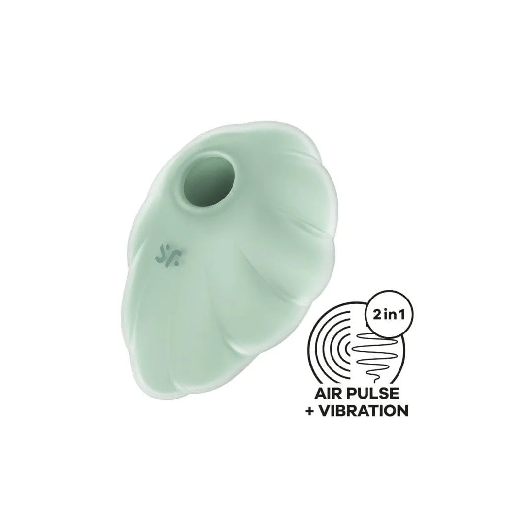 Stimulateur Clitoridien Silicone Étanche Ondes Et Vibrations
