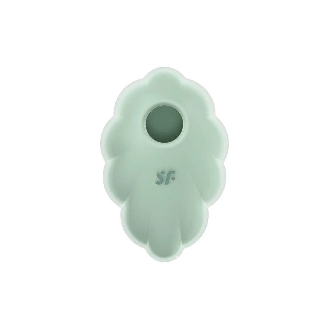 Stimulateur Clitoridien Silicone Étanche Ondes Et Vibrations