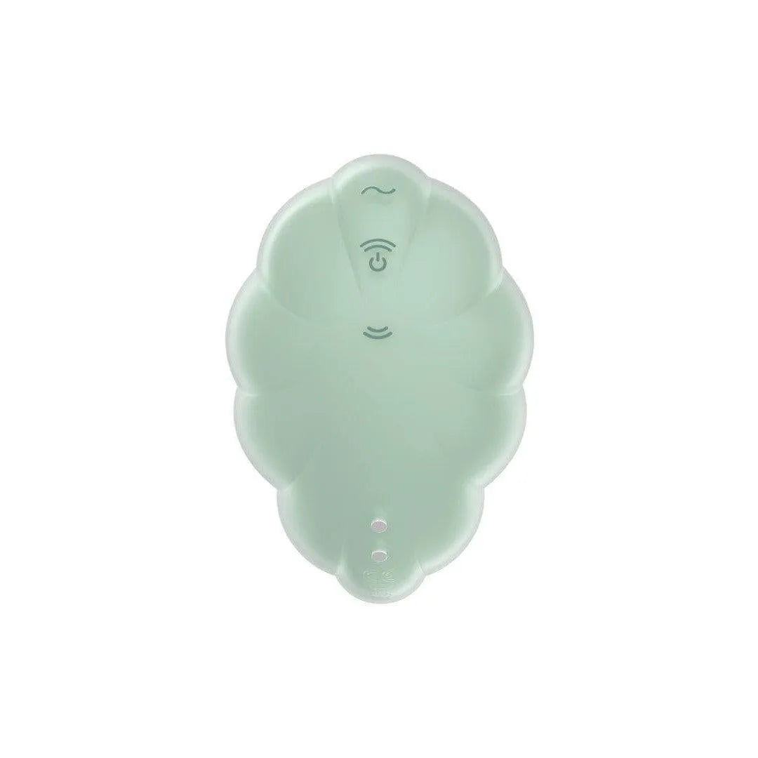 Stimulateur Clitoridien Silicone Étanche Ondes Et Vibrations