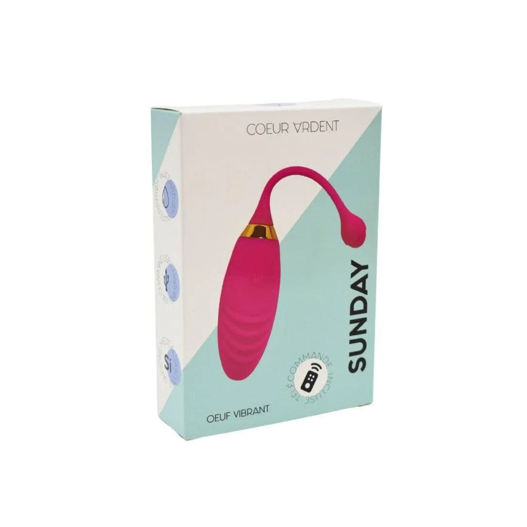 Œuf Vibrant Télécommandé Silicone Rose
