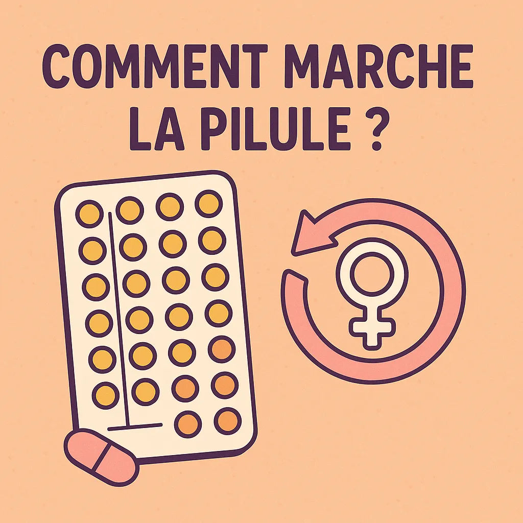 Comment Marche La Pilule ?