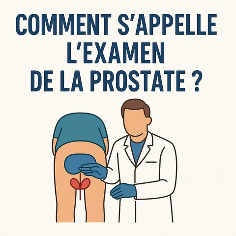 Comment S'Appelle L'Examen De La Prostate ?