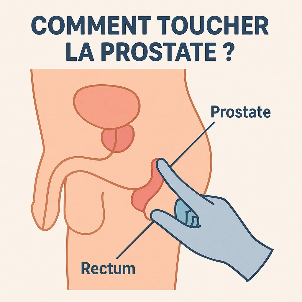 Comment Toucher Prostate ?