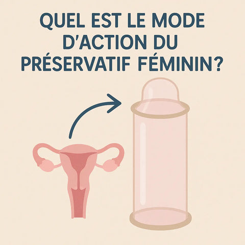 Quel Est Le Mode D'Action Du Préservatif Féminin?