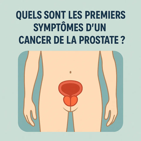 Quels Sont Les Premiers Symptômes D'Un Cancer De La Prostate ?