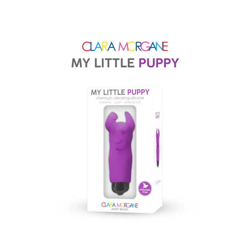 Mini vibromasseur violet sans phtalates 10 modes vibration femme waterproof