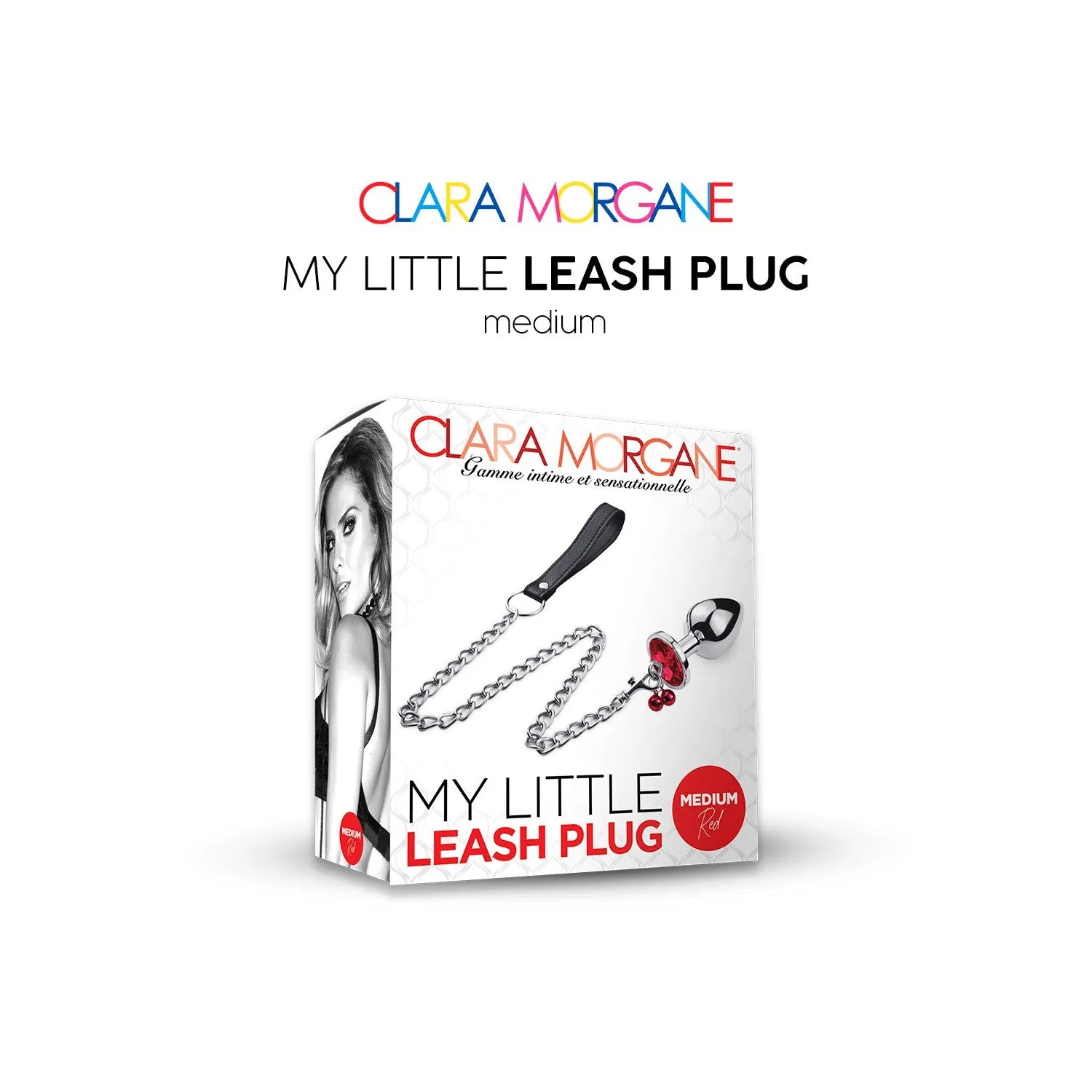 Plug anal métal laisse stimulation prostate plaisir érotique taille medium