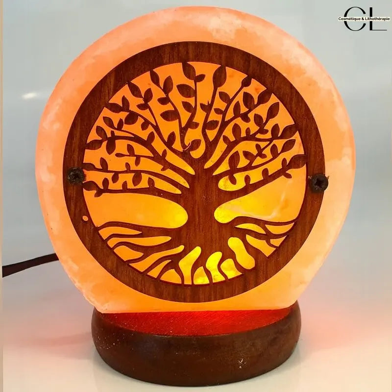 Lampe de Sel de l'Himalaya USB Arbre de Vie Bois Sculpté 1KG