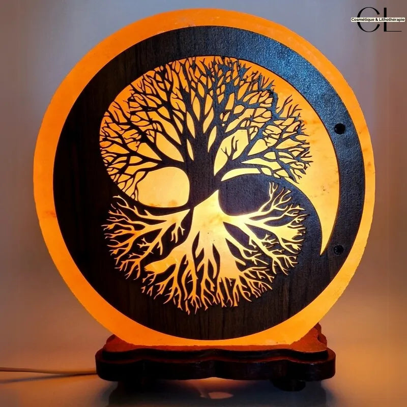 Lampe de Sel Himalaya 5KG Arbre de Vie Yin-Yang Purification Énergétique