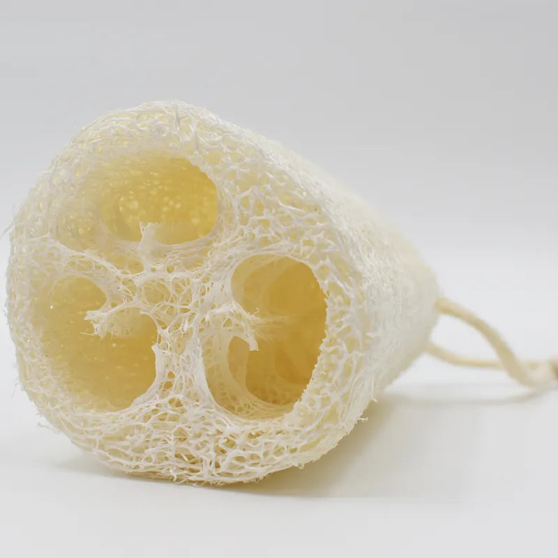 Éponge végétale exfoliante luffa biodégradable naturelle alternative écologique