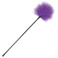 Accessoire Bdsm Plumes Chatouilles Lilas