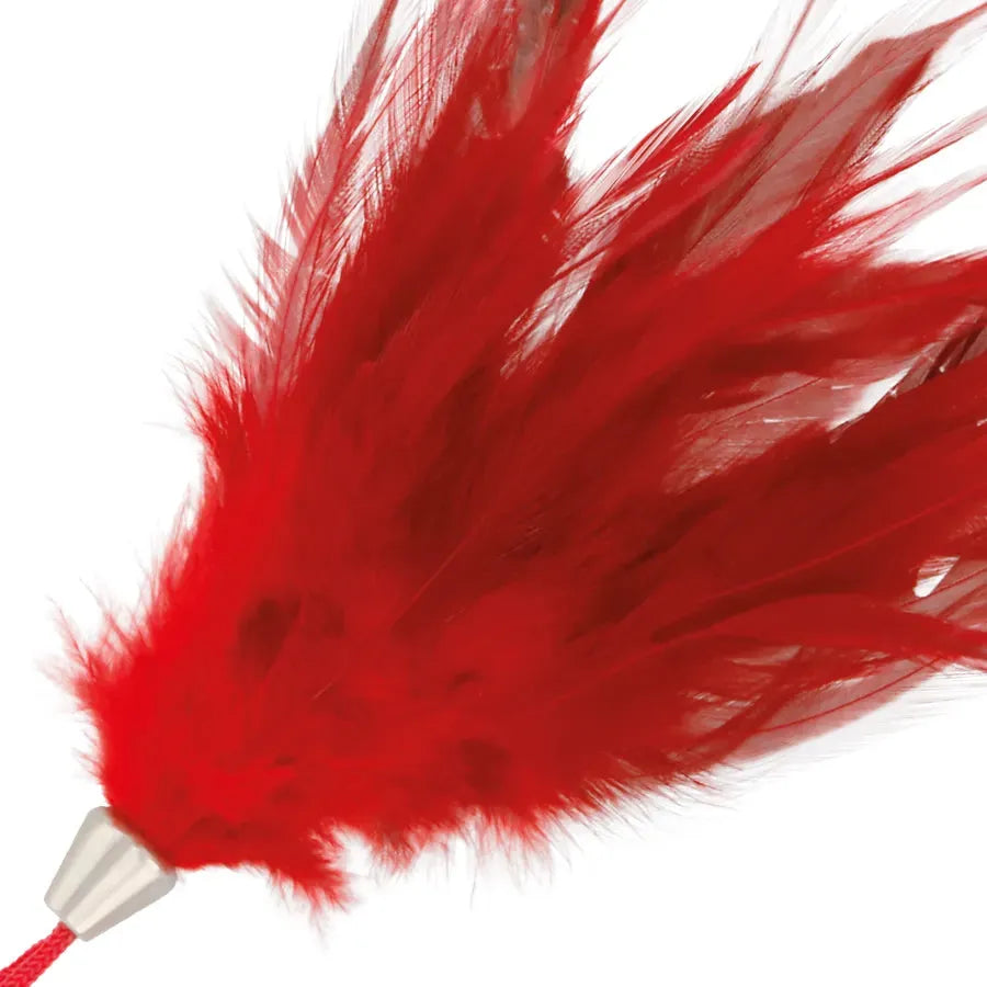 Plumes rouges BDSM Darkness, 20 cm, poignée ergonomique, pour jeux érotiques et stimulation sensorielle délicate.
