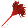 Accessoire Bdsm Plumes Rouges Érotiques