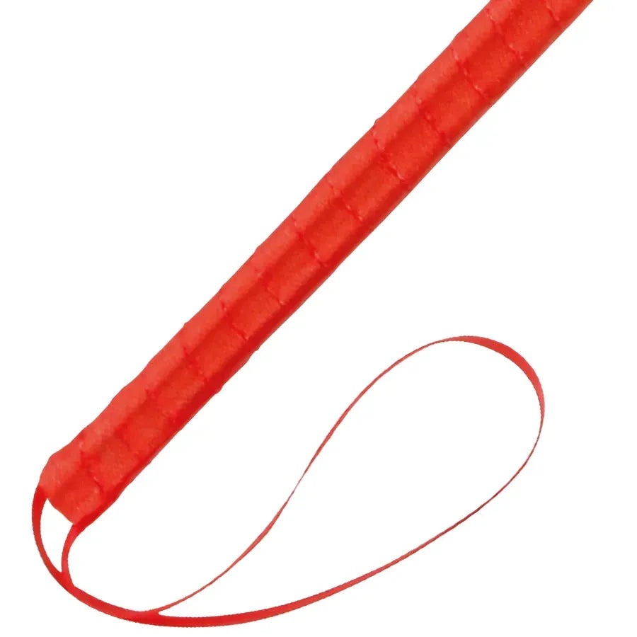 Accessoire BDSM avec plumes rouges érotiques, manche fin et élégant, pour stimulation sensorielle et moments intimes.