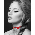 Bdsm Collier