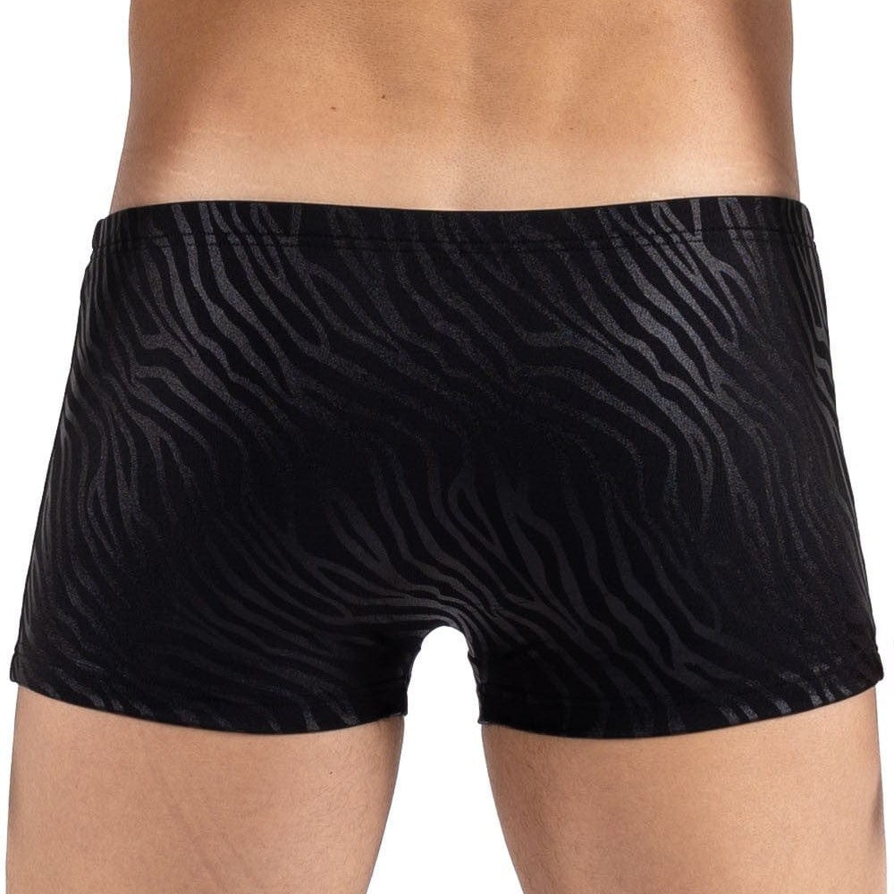 Boxer noir & gold Zebra - LM2403-67BLK