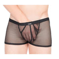 Boxer Transparent