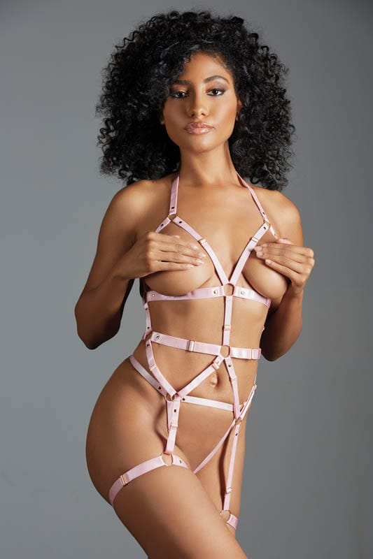 Bustier harnais rose avec string ouvert - A1126P