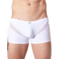 Calecon Boxer Homme
