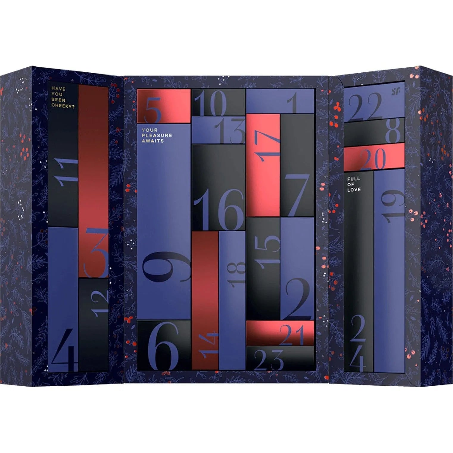 Calendrier De L'Avent Satisfyer Premium 2024 Produits Intimes