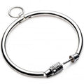 Collier Bdsm Métal Inoxydable Avec Cadenas