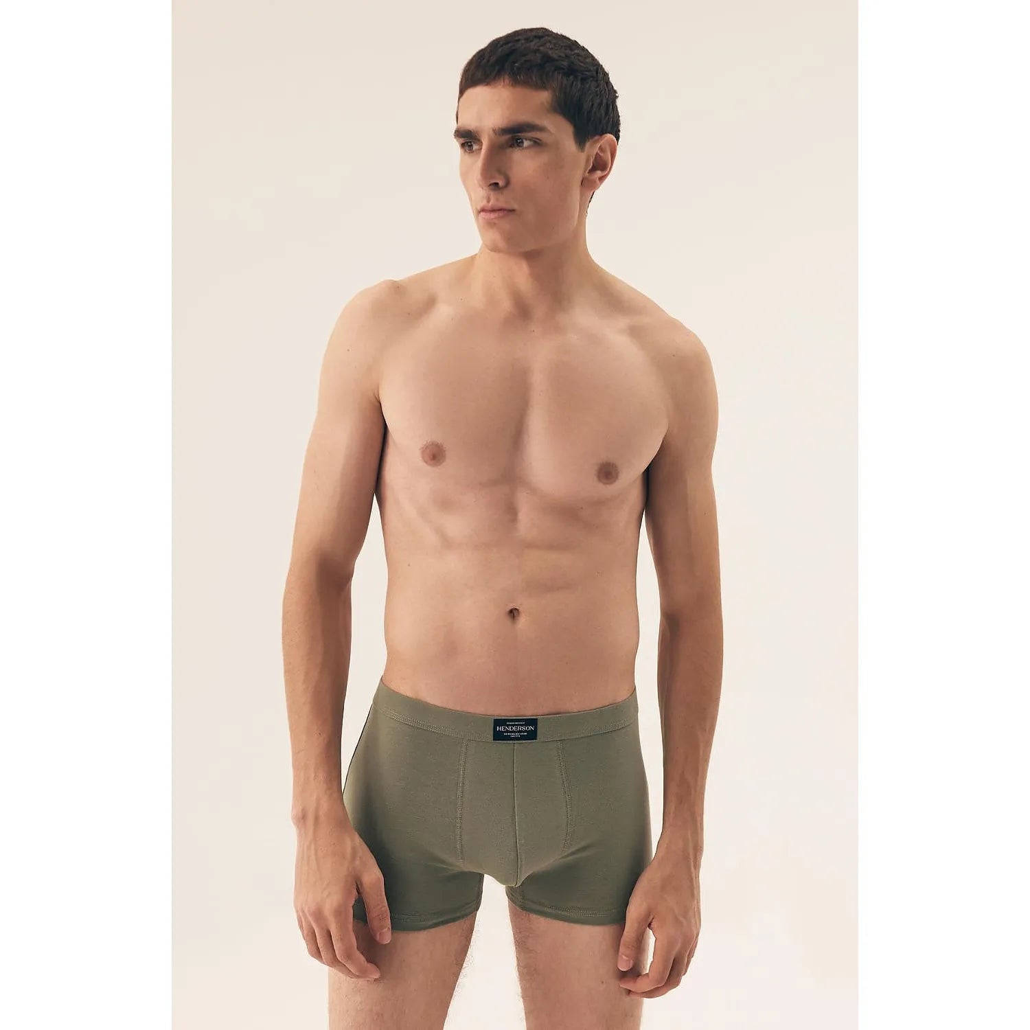  L`ensemble model 209613 Henderson 