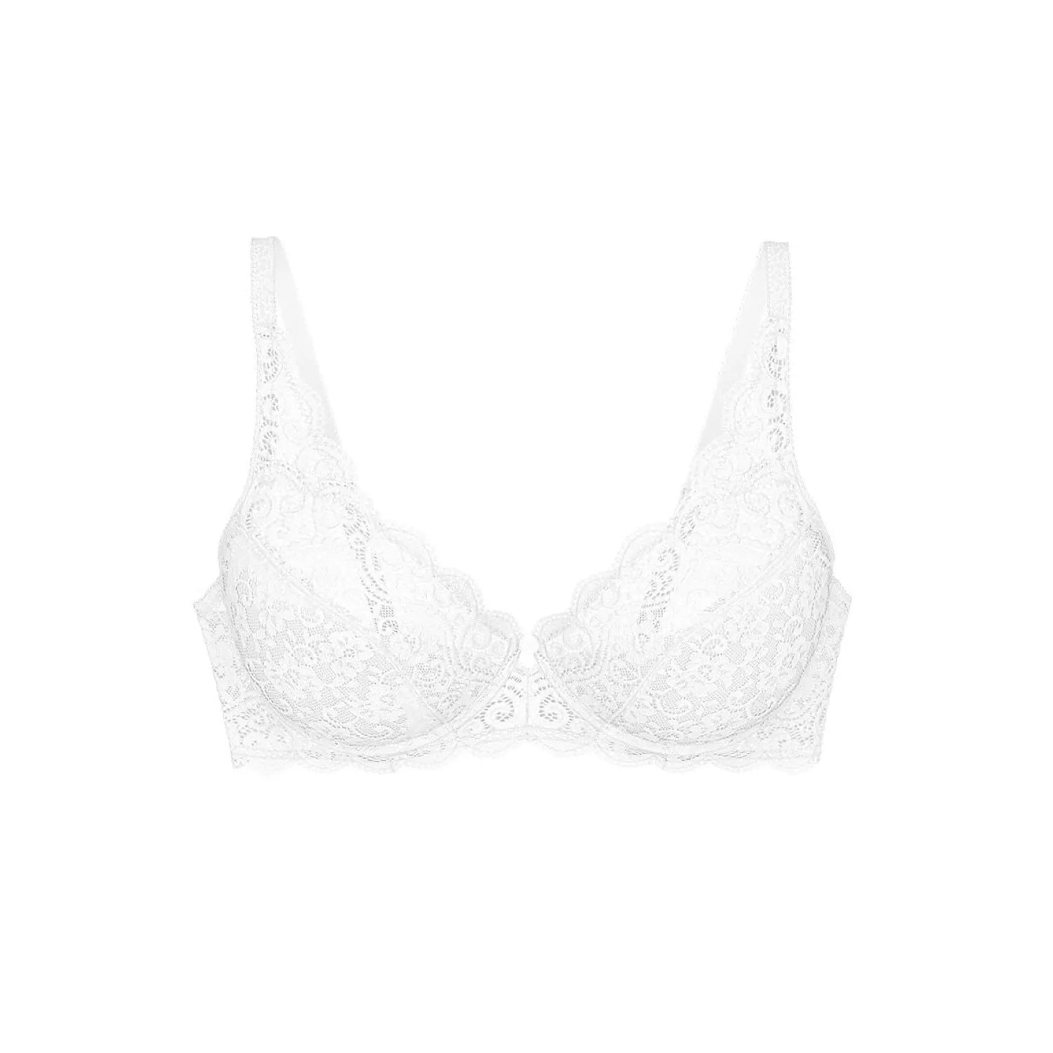  Soft model 229122 Triumph 