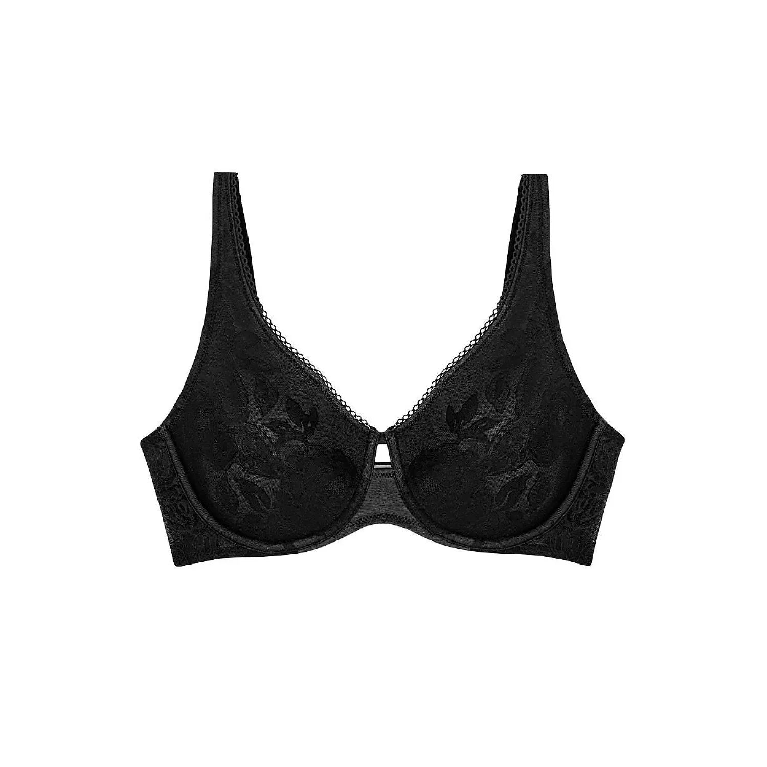  Soft model 230212 Triumph 