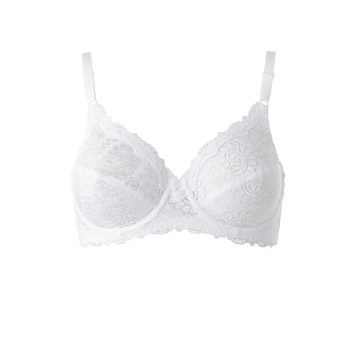  Soft model 232522 Triumph 