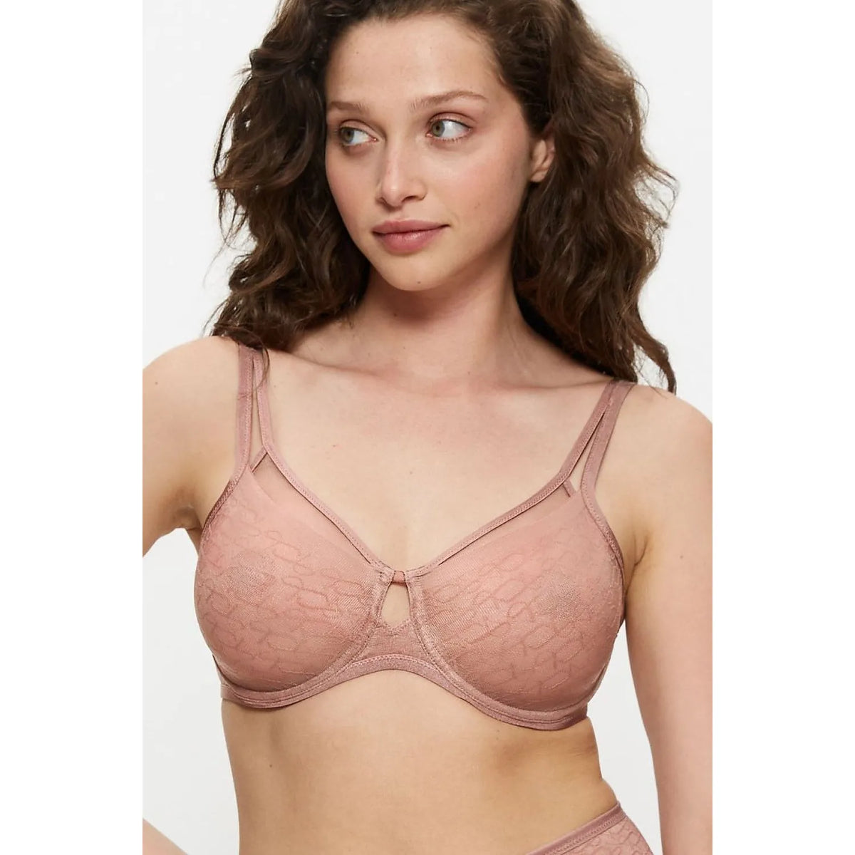  Soft model 232523 Triumph 