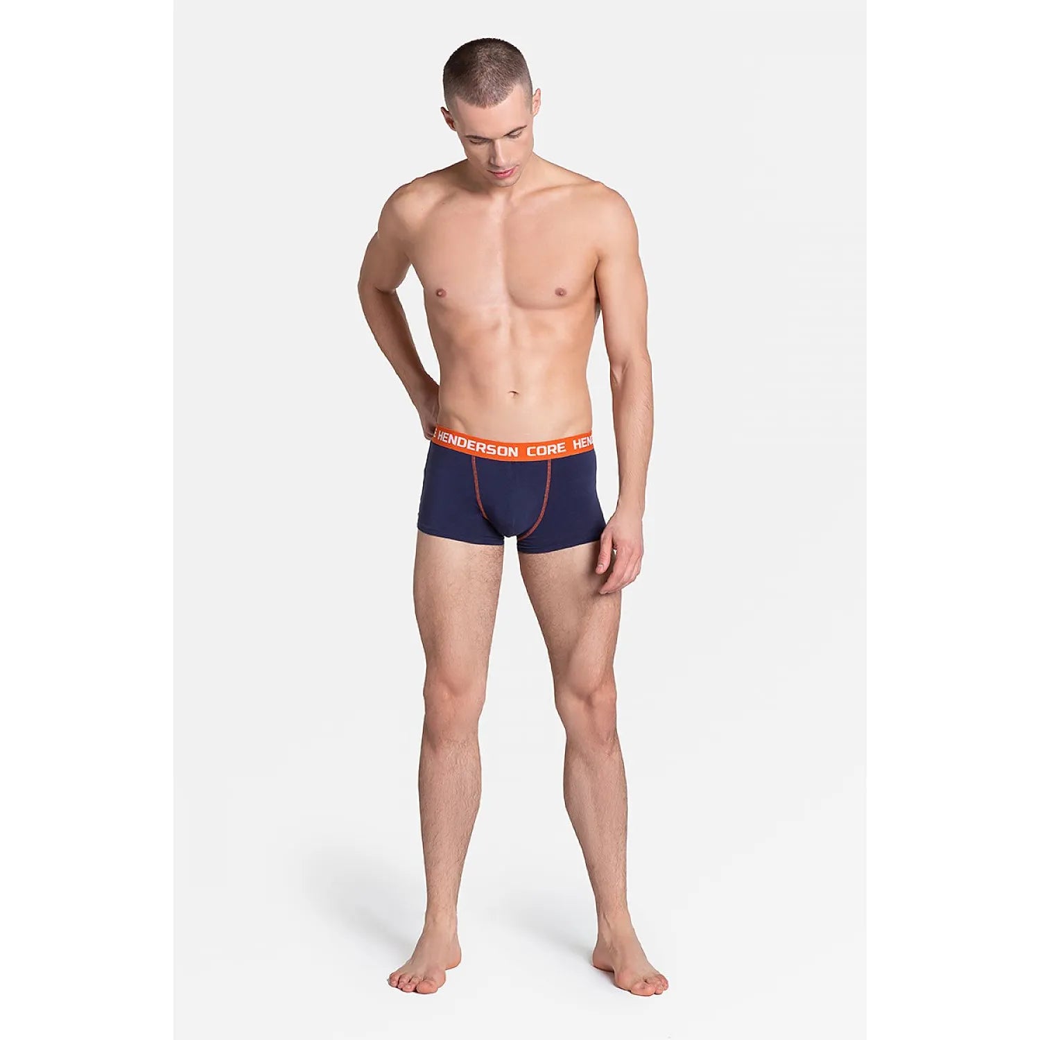  L`ensemble model 151473 Henderson 