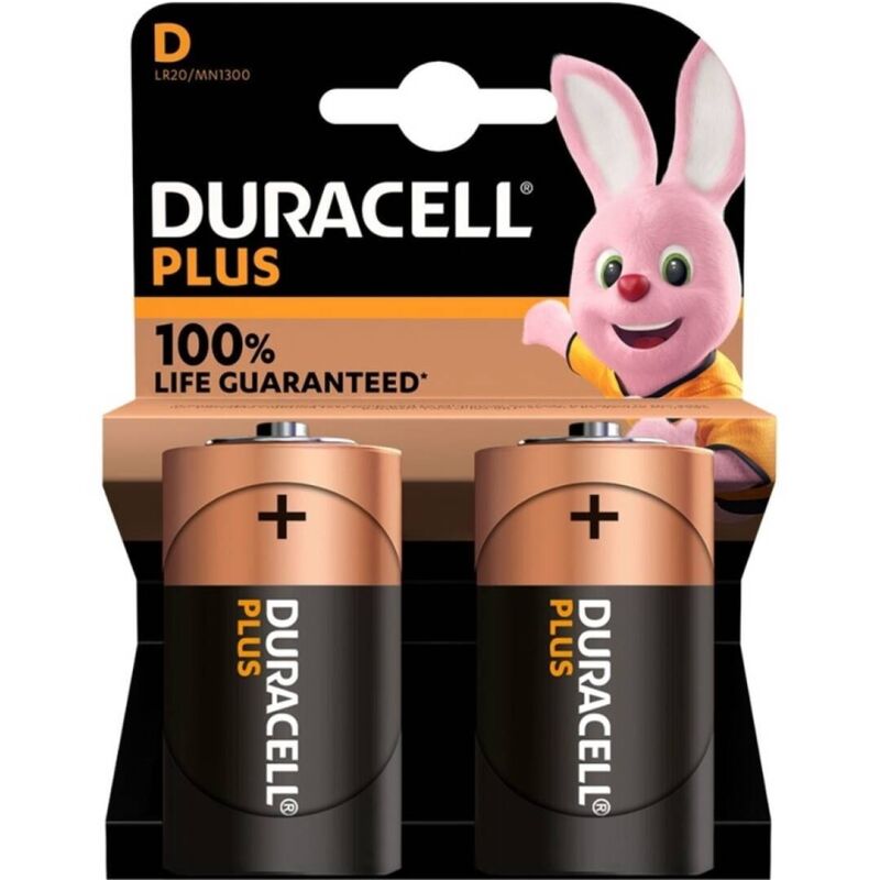 Batteries Alcalines Duracell D Puissance Fiable