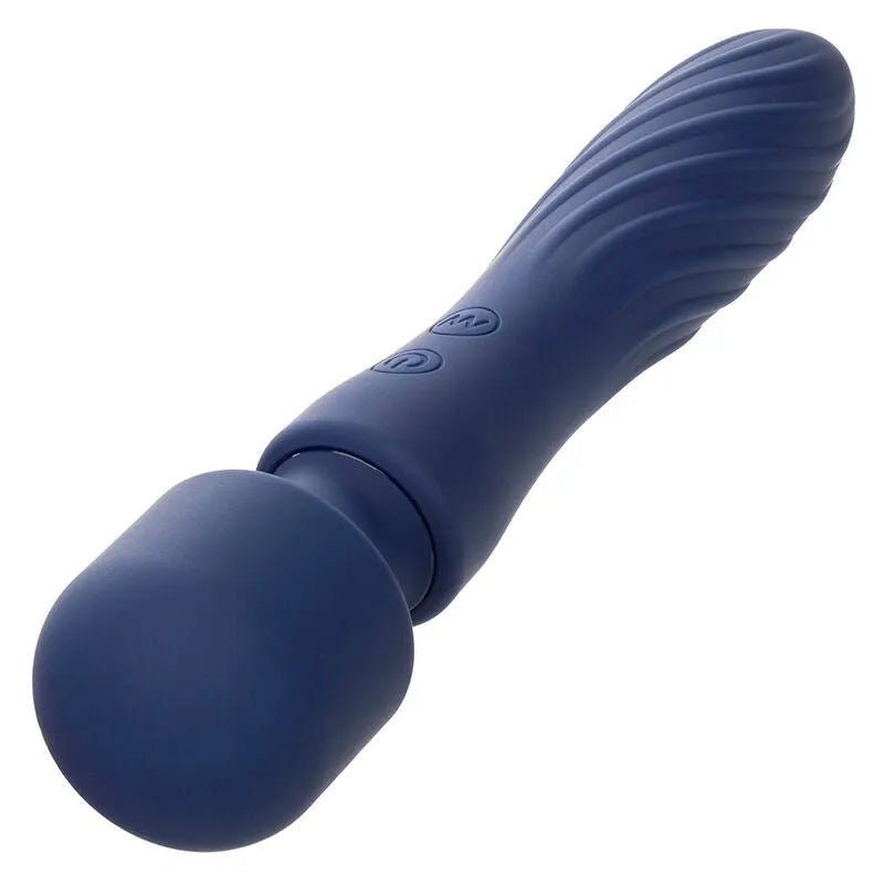 Masseur violet en silicone, double moteur, 12 fonctions, design élégant avec tête flexible striée, étanche.