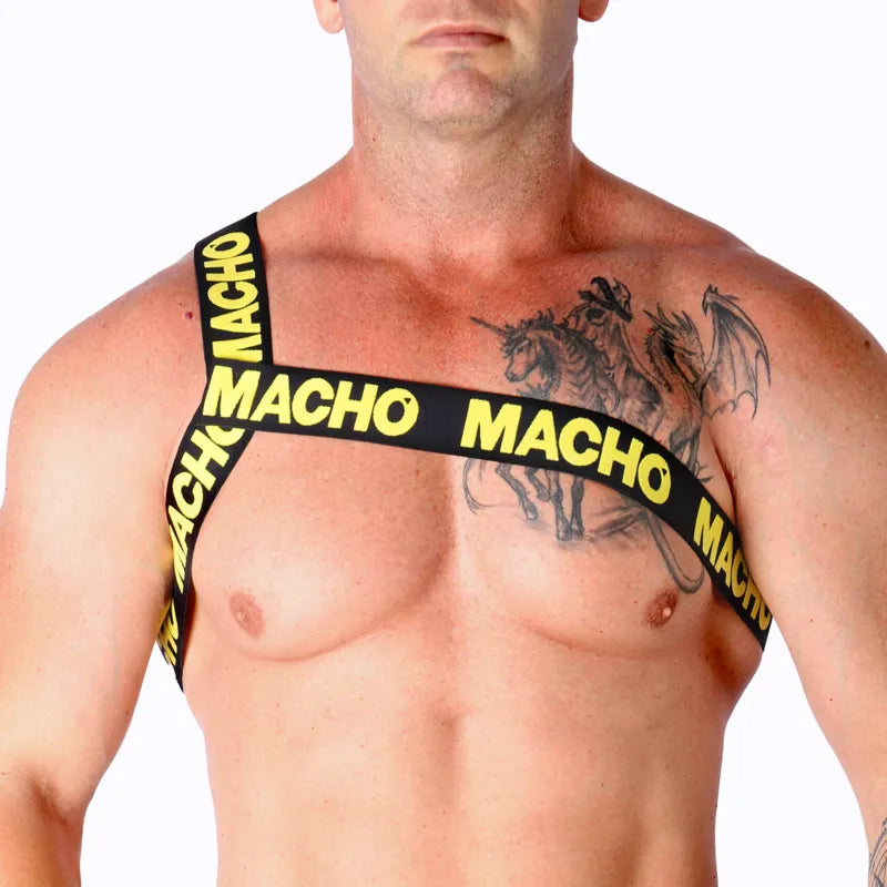 MACHO - HARNAIS ROMAIN JAUNE