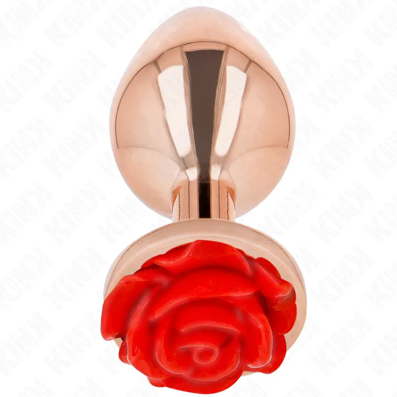 KINK - PLUG ANAL OR ROSE AVEC ROSE ROUGE