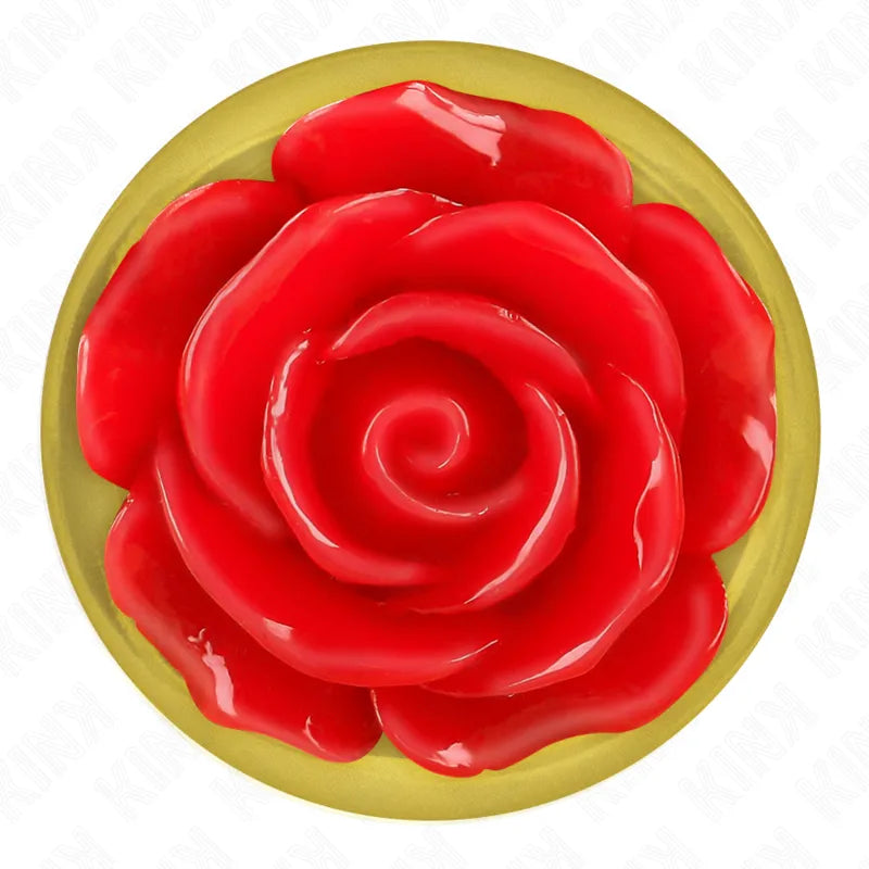 KINK - PLUG ANAL OR ROSE ROUGE