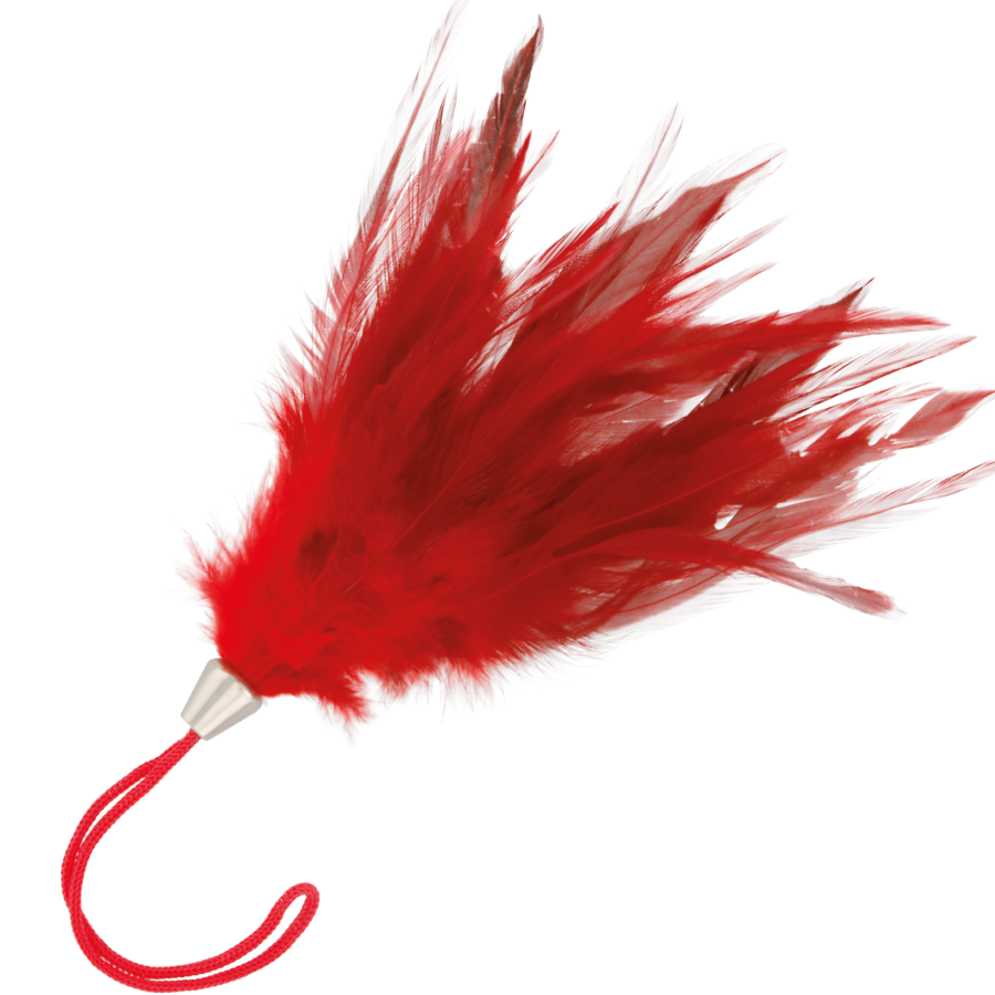 Accessoire Bdsm Plumes Rouges Darkness