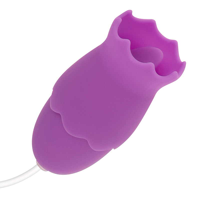 Œuf Vibrant Clitoridien Rechargeable Silicone