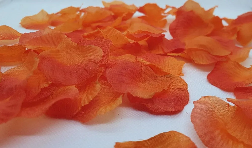 Sachet 100 Pétales De Rose Rouge Réutilisables