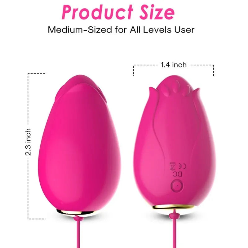 Œuf Vibrant Silicone Étanche Rechargeable 9 Modes