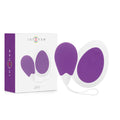 Œuf Vibrant Rechargeable Silicone Étanche Télécommandé
