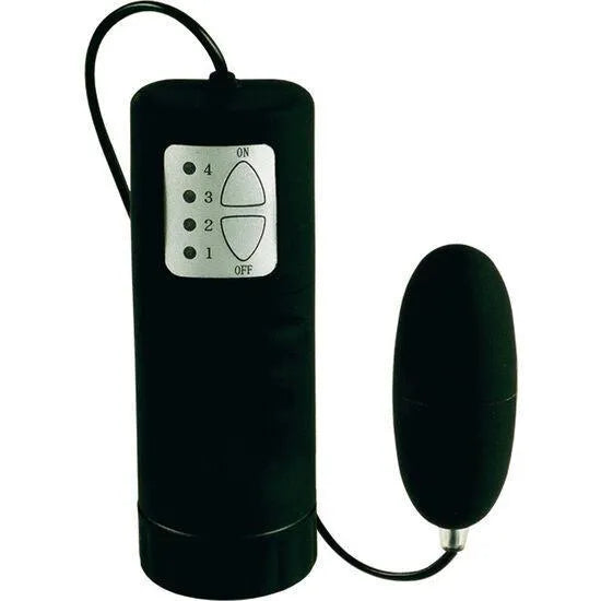 Œuf Vibrant Étanche Multi-Vitesses Télécommande