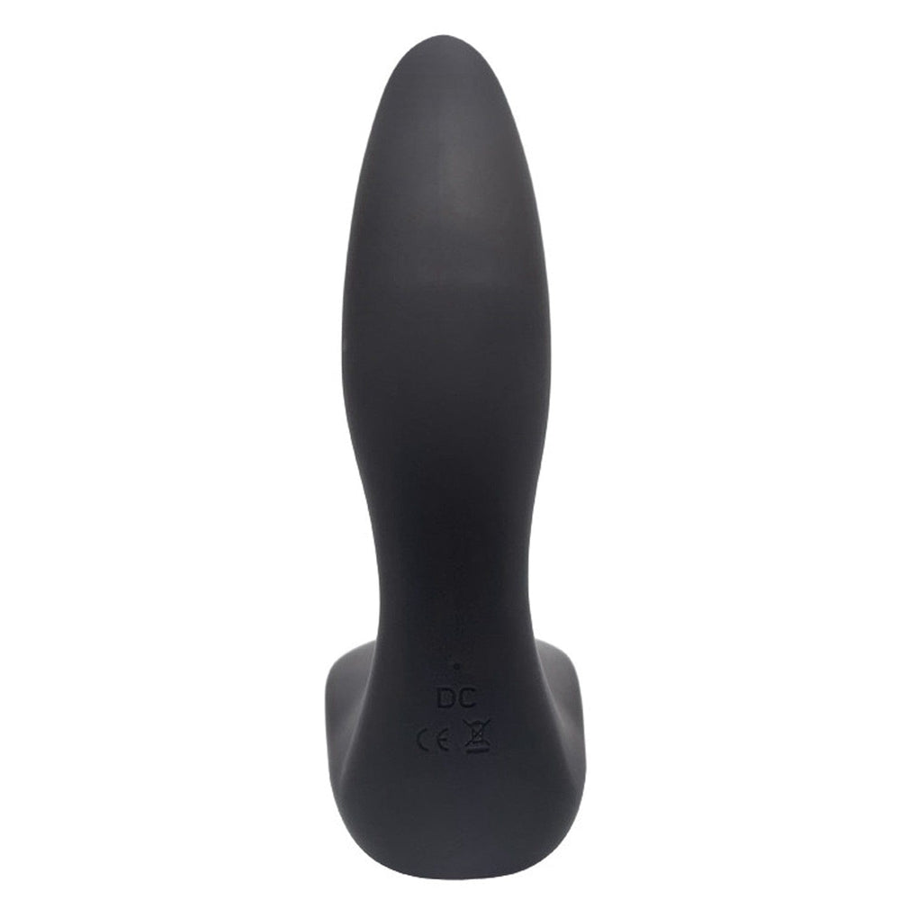 Plug anal vibrant homme